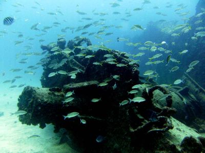 The Wreck Diving Spot Las Galeras Samana